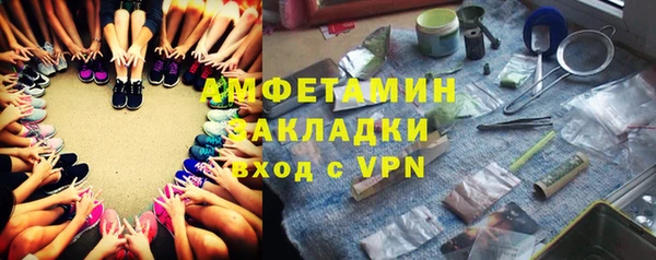 молекула духа Ельня