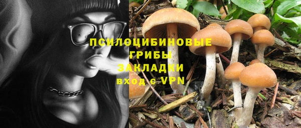 гидра Балахна
