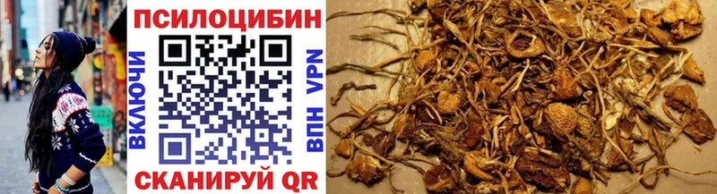 Галлюциногенные грибы мицелий  KRAKEN зеркало  Качканар 